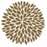 Carelia Natural Care