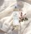 Room Fragrance